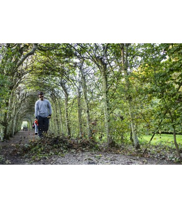 Soffiatore a batteria Echo DPB-600