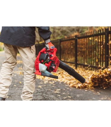 Soffiatore Shindaiwa EB262