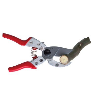 Forbice professionale da potatura a battente Ars VA8Z