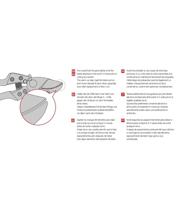 Forbice da potatura Ars VA7Z