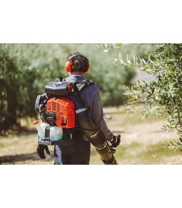 Soffiatore Echo PB8010