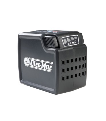 Batteria Bi 40V 5Ah Oleo-Mac