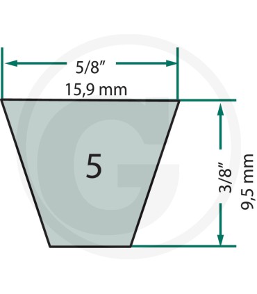 CINGHIA TRAPEZOIDALE - 57275071