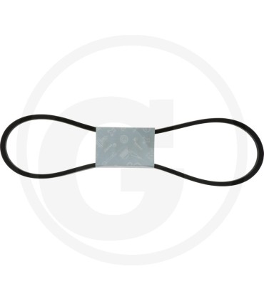 CINGHIA B55 CASTELGARDEN TC 102 PRIMA 1999 - 57517X1400