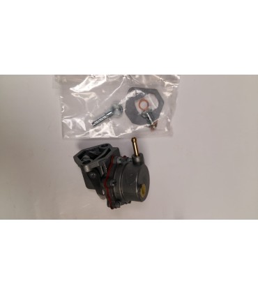 POMPA A ''C'' LOMBARDINI LA490 BENZINA,COMPLETA DI GUARNIZIONI,BULLONE,RACCORDO - ED0065850820-S+4580170+1901193+4670059+7270104
