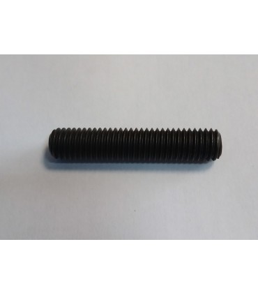 PRIGIONIERO INSERTO PER TESTINA W5 (8X1,25 H.40) -0055-