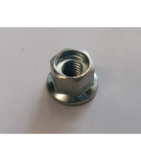 DADO CARTER SALVACATENA - 43301903933