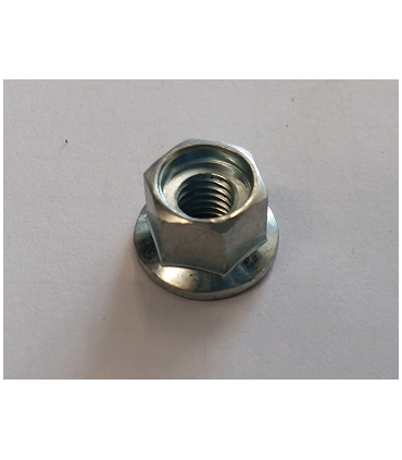 DADO CARTER SALVACATENA - 43301903933