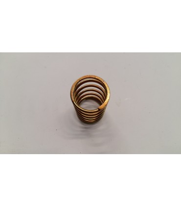 MOLLA TESTINA SPEED-FEED T.N. - 450001880