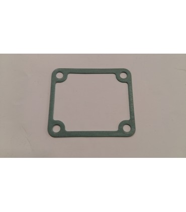 GUARNIZIONE CILINDRO DECESPUGLIATORE - 100000470