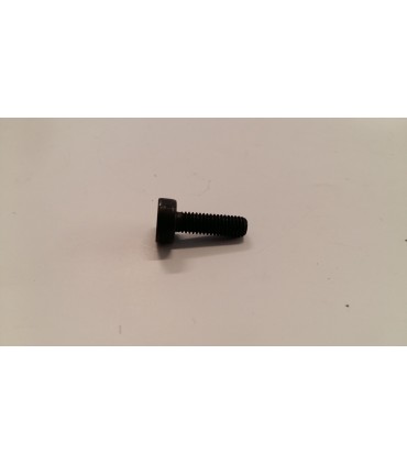 BULLONE TORX M5 - 805000250