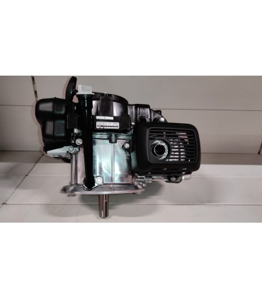 MOTORE HONDA GCV170H,5 CV,ALBERO VERTICALE DIAMETRO 25 X 68 MM LUNGO,PER RASAERBA HONDA VERSIONE S4BBNH1  -GCV170H-