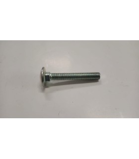 VITE RASAERBA - 531211480