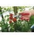 FORBICE ARS 300L PROFESSIONALE PER RACCOLTA FRUTTA -300L-