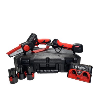 VALIGETTA BLUE BIRD CON MOTOSEGA A BATTERIA CS 22-04 E FORBICE A BATTERIA PS 23-25, CON 3 BATTERIE E CARICABATTERIE - 886860