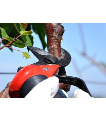 Forbice pneumatica per potatura Lisam SLY