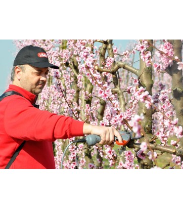 Forbice elettric per potatura Lisam BLADE GT