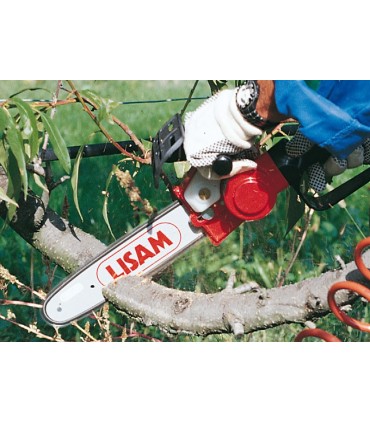 Seghetto pneumatico per potatura 2SP