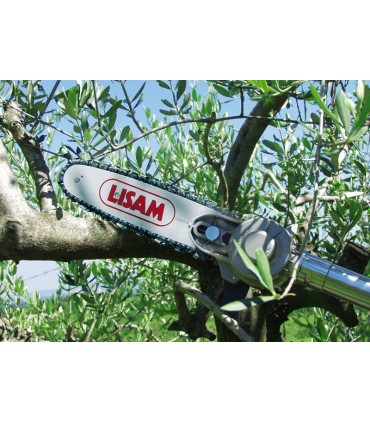 Seghetto pneumatico per potatura su asta Lisam SKY