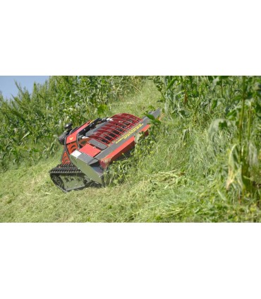 TRINCIAERBA CINGOLATO RADIOCOMANDATO MECCANICA BENASSI- NINJA