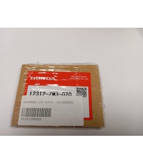 GUARNIZ.COP.TESTA - 12312ZM3020