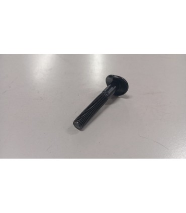 BULLONE DI FISSAGGIO - 5310510010