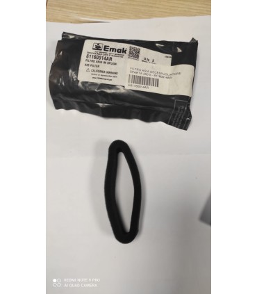 FILTRO ARIA DECESPUGLIATORE SPARTA 250 S - 61160014AR