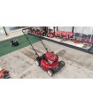 Rasaerba Toro Recycler S53VST